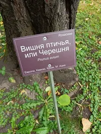 20230916130652.webp