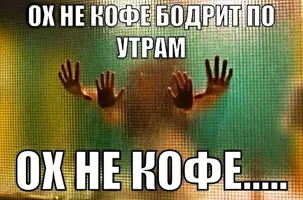 9451aeb6131e8df6f59b03a71b40045c-bodrost.webp
