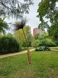 20230916130748.webp