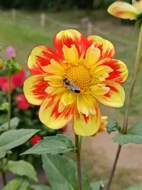 20230916124335.webp