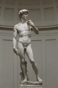 'David'_by_Michelangelo_Fir_JBU002.webp 'David'_by_Michelangelo_Fir_JBU002.webp
