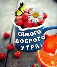 file28308.webp