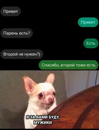 20230917.webp