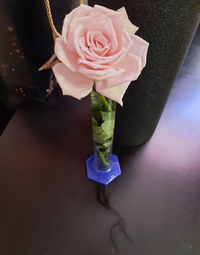 19.09_Gallery.webp