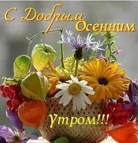 48.webp