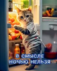 20230913_155038_813.webp