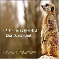 157634.webp