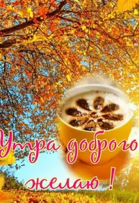 41ED83CF-A599-4A48-AB4A-817EFF8D7025.webp