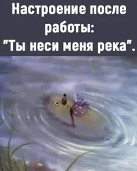 IMG_20230424_193439_660.webp