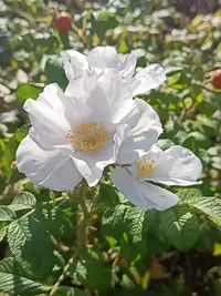 20230923111831.webp