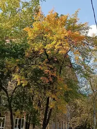 20230923160112.webp
