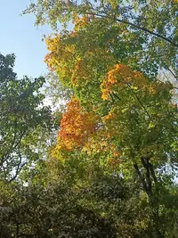 20230923160350.webp
