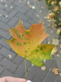 20230923160557.webp