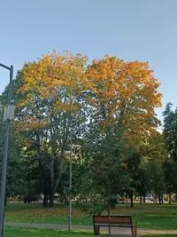 20230923161303.webp
