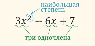 34.webp