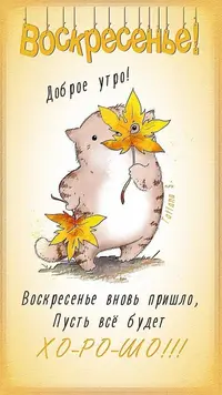 IMG_20230910_075121_112.webp