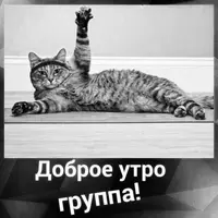 lOqdSAHOuEo.webp