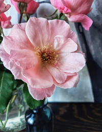2409Gallery.webp