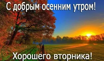 293c4.webp