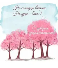 C4C305F3-E52B-4049-87CD-1BA2AC747ADD.webp
