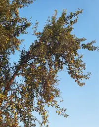 72709Gallery.webp