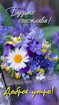 20230914_093254_312.webp