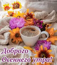 7221536b0488896a9faeb057dde85d67.webp