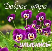 DABA7626-E974-41E6-A074-B7B1EDB121C9.webp