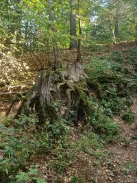 20230928141630.webp