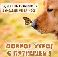 89961032-E5E6-42B0-9E40-68C2AEF1455C.webp
