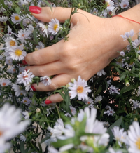 29_Gallery.webp