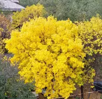 20230930_113758.webp