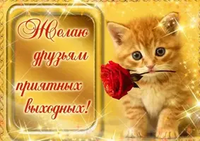 0440DAA8-9C80-412E-91D5-1506C08AB587.webp