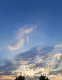 02Gallery.webp