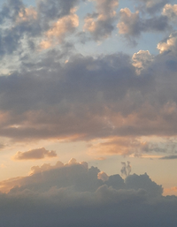 900_Gallery.webp