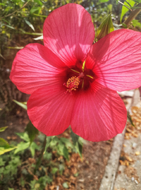 0078.webp