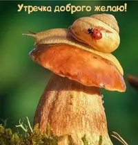 2139178C-71EB-4845-9478-73B44C16820B.webp