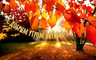 15.webp