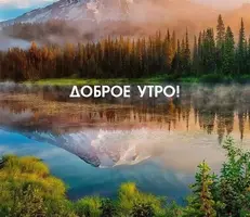 1677286187.webp