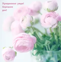 AAA93D68-8FFF-48F4-9484-CA8F954C0D34.webp