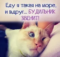 FB456BC5-171F-40DF-B13D-38F6EF1E1B06.webp