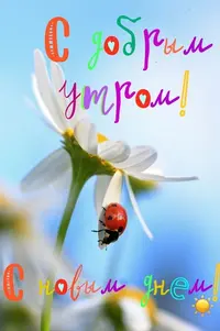10.webp