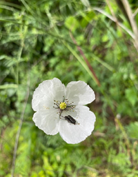 990Gallery.webp