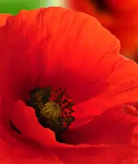D610C6F7-661B-4D08-9A0D-7023B93BF42C.webp