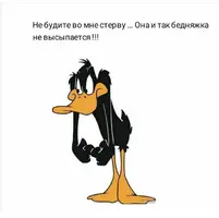 20230922_070013_614.webp