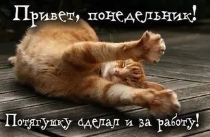 2FDC13D1-7571-4F1F-9ED0-6FC1A074E858.webp