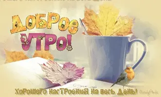 27.webp