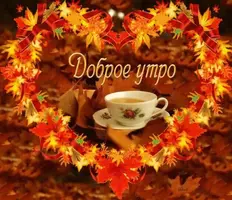 64EF0A64-142B-458F-A4C1-A87352538271.webp