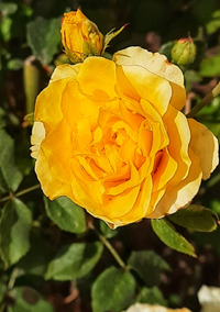 8809_Gallery.webp