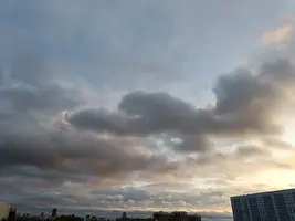 20231010172458.webp